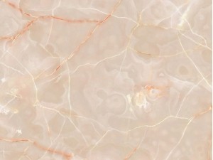 Kaiyun体育数字化服务平台界面