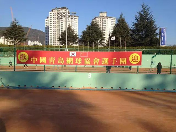 铿锵豫篮燃动中原(图1)
